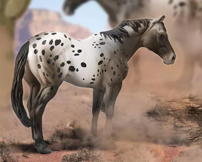 Breyer CollectA Appaloosa Blue Roan