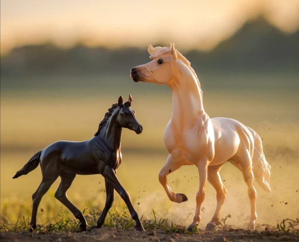 Breyer A Horse Of My Very Own Encore & Tor Gift Set