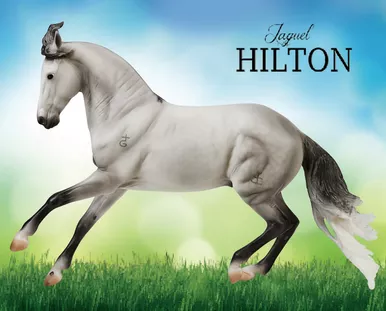 Breyer - Jaguel Hilton - Criollo Stallion