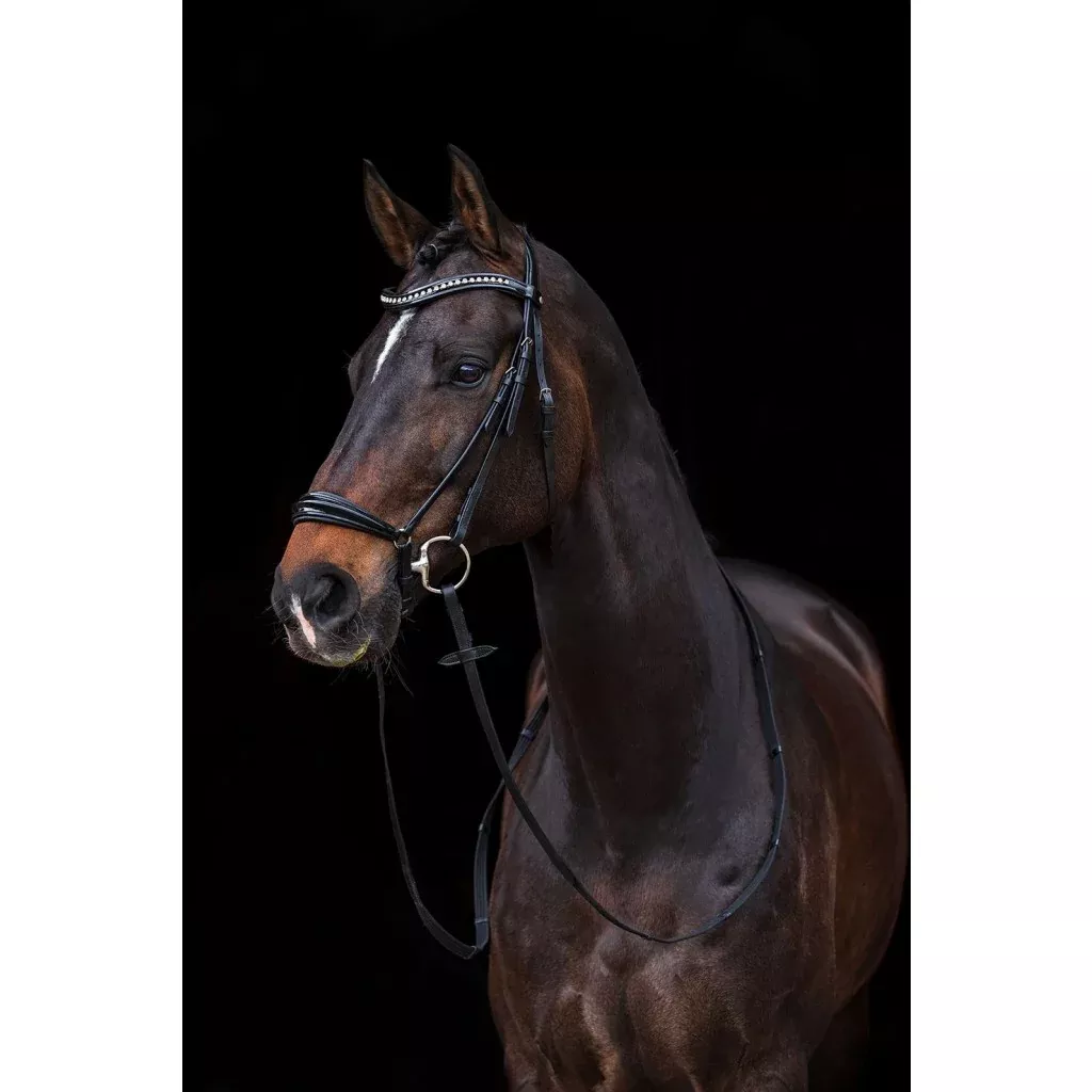 Bridle Carolin