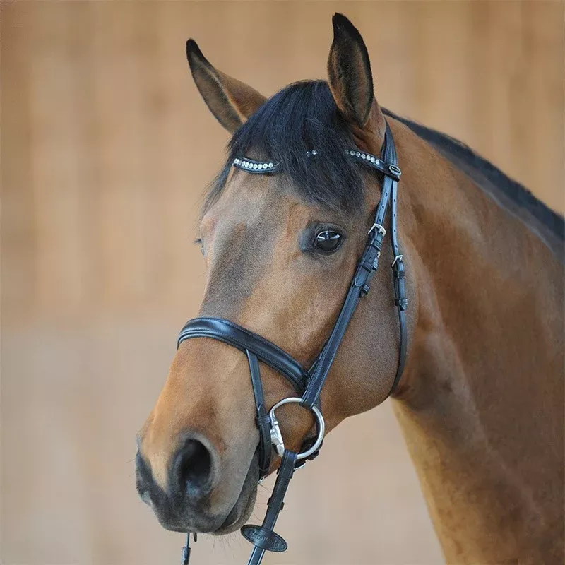 Bridle Diana
