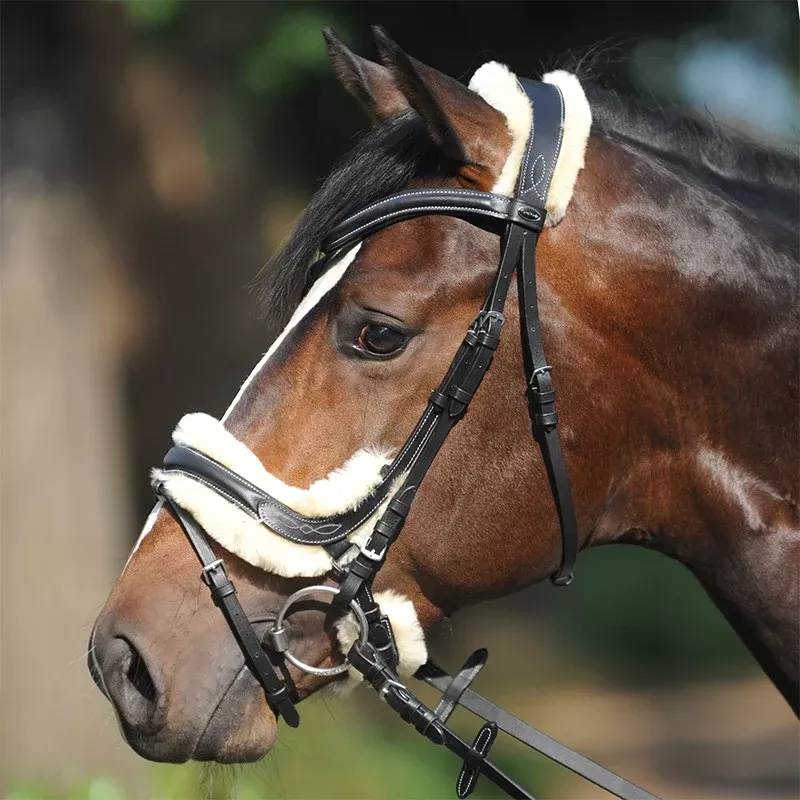 Bridle Ivy with Sheepskin