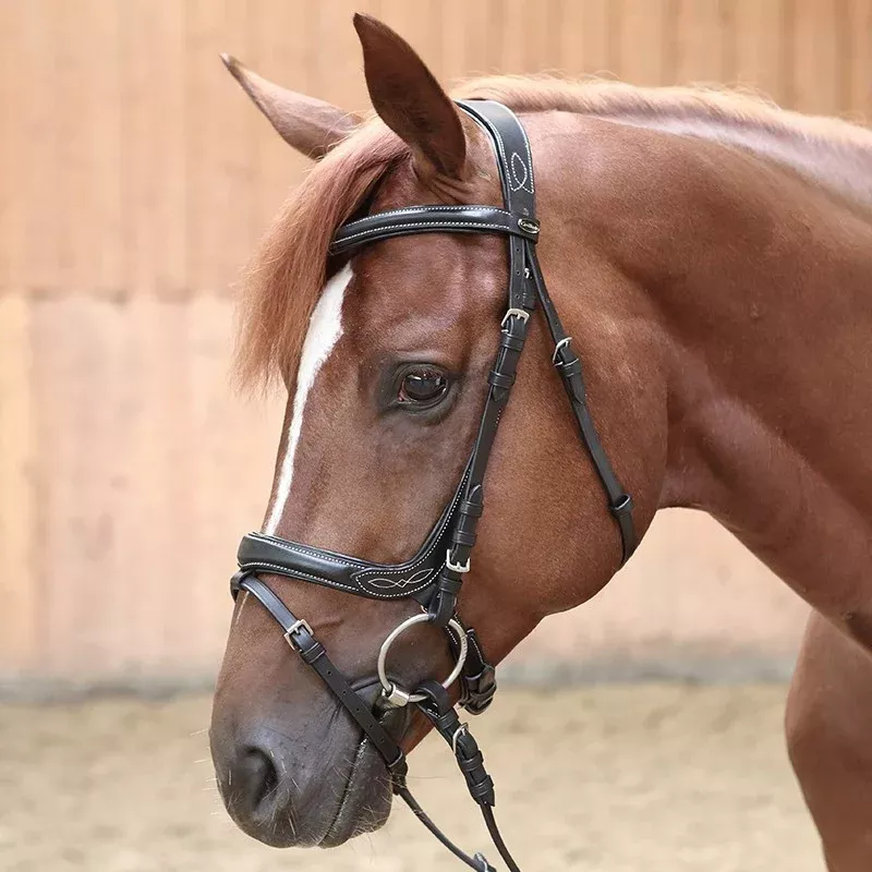 Bridle Ivy