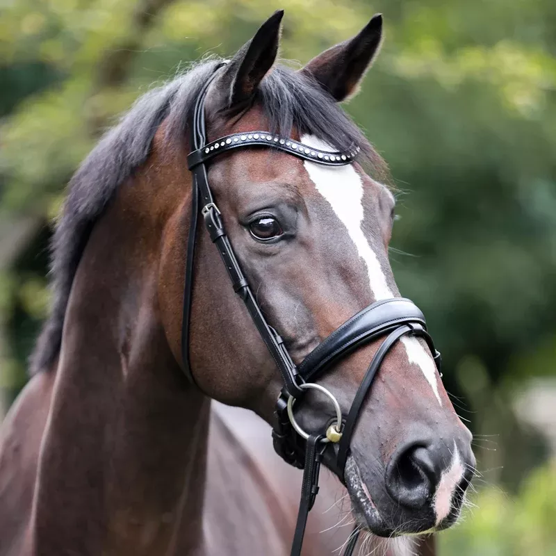 Bridle Mia