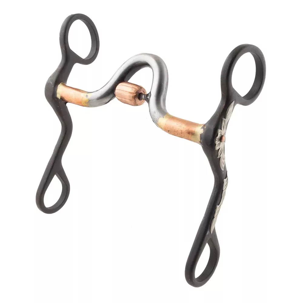 Brown Sweet Iron Curb Bit with Roller