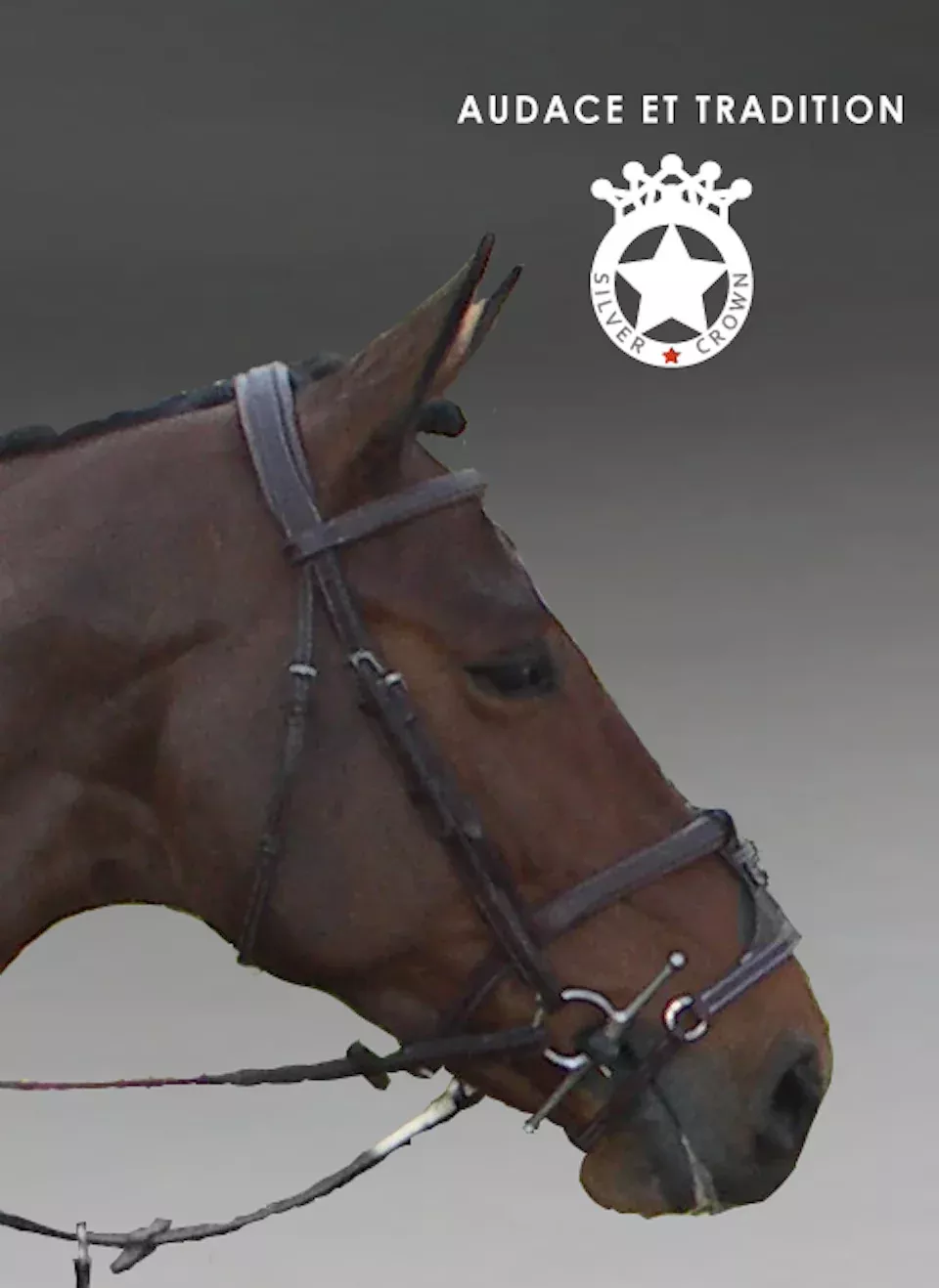 Build your own Silver Crown bridle