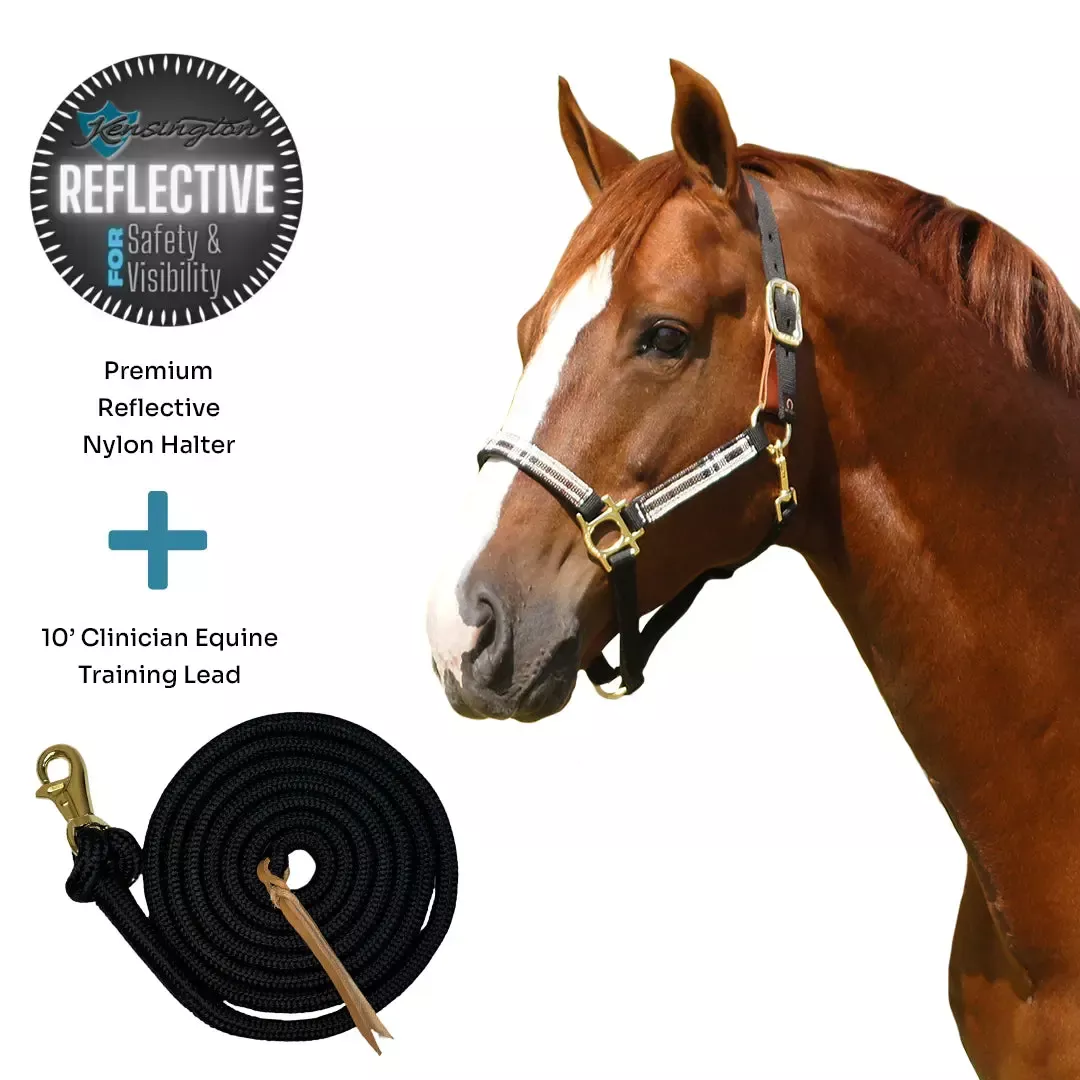 Bundle: Reflective Breakaway Nylon Halter & 10' Clinician Lead
