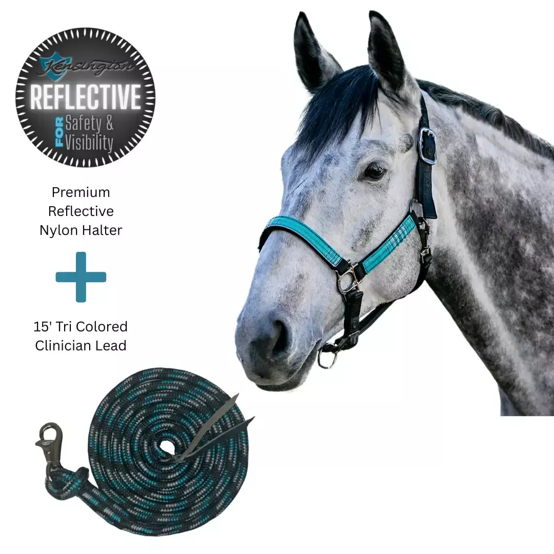 Bundle: Reflective Nylon Halter & 15' Clinician Lead