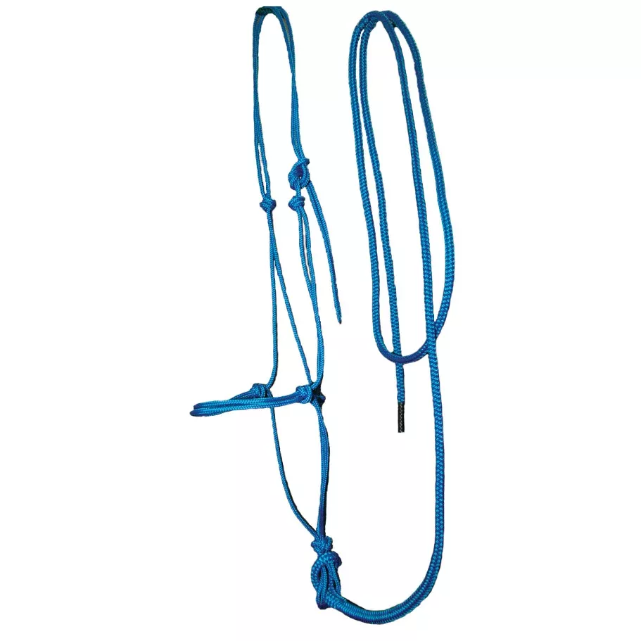 Burwash Trail Halter with Lead