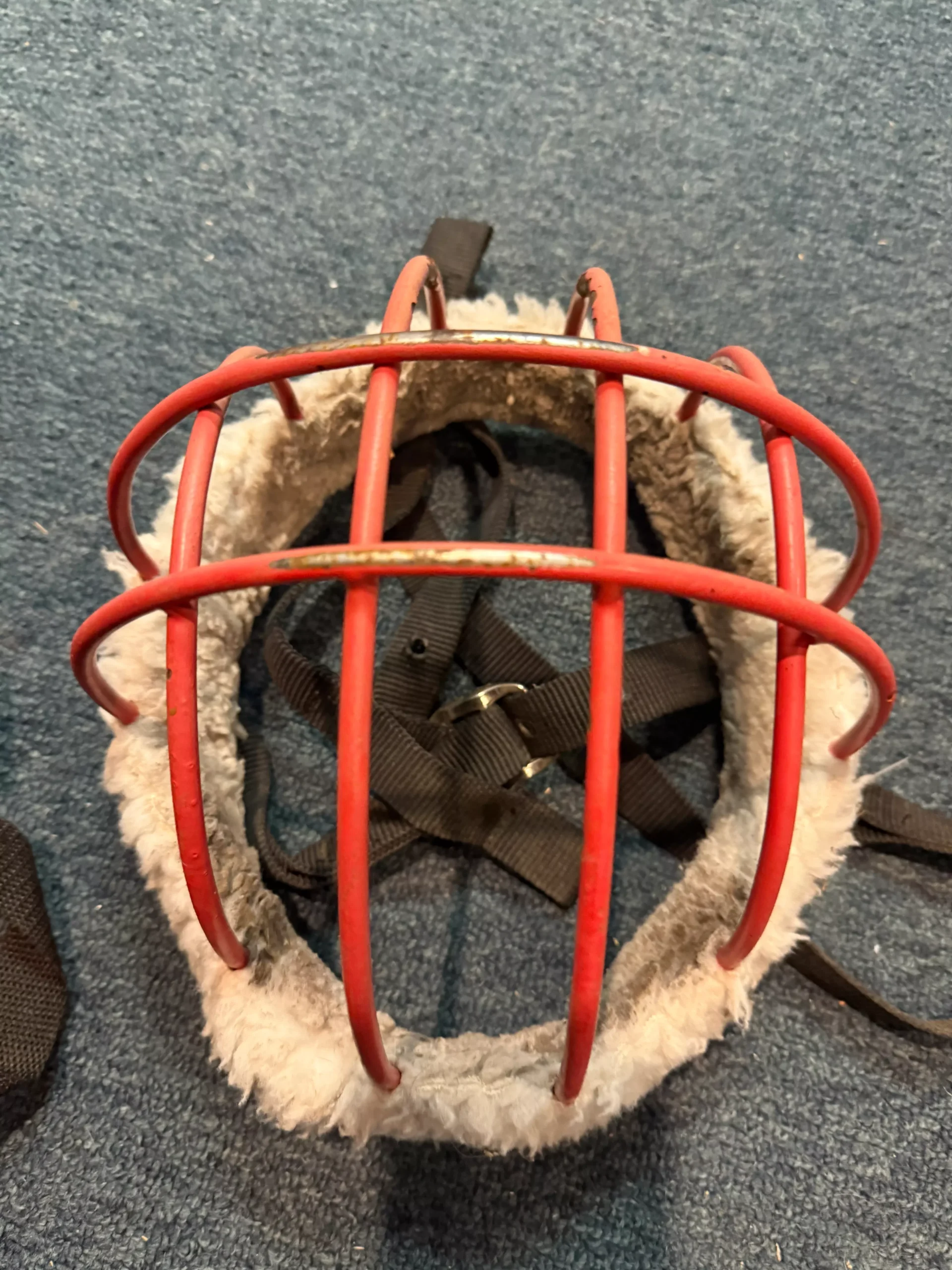 Cage Grazing Muzzle large