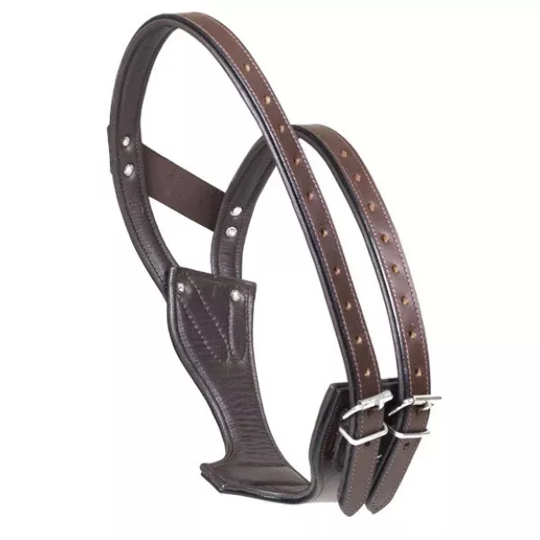 Camelot - Padded Leather Wonder Crib Collar -