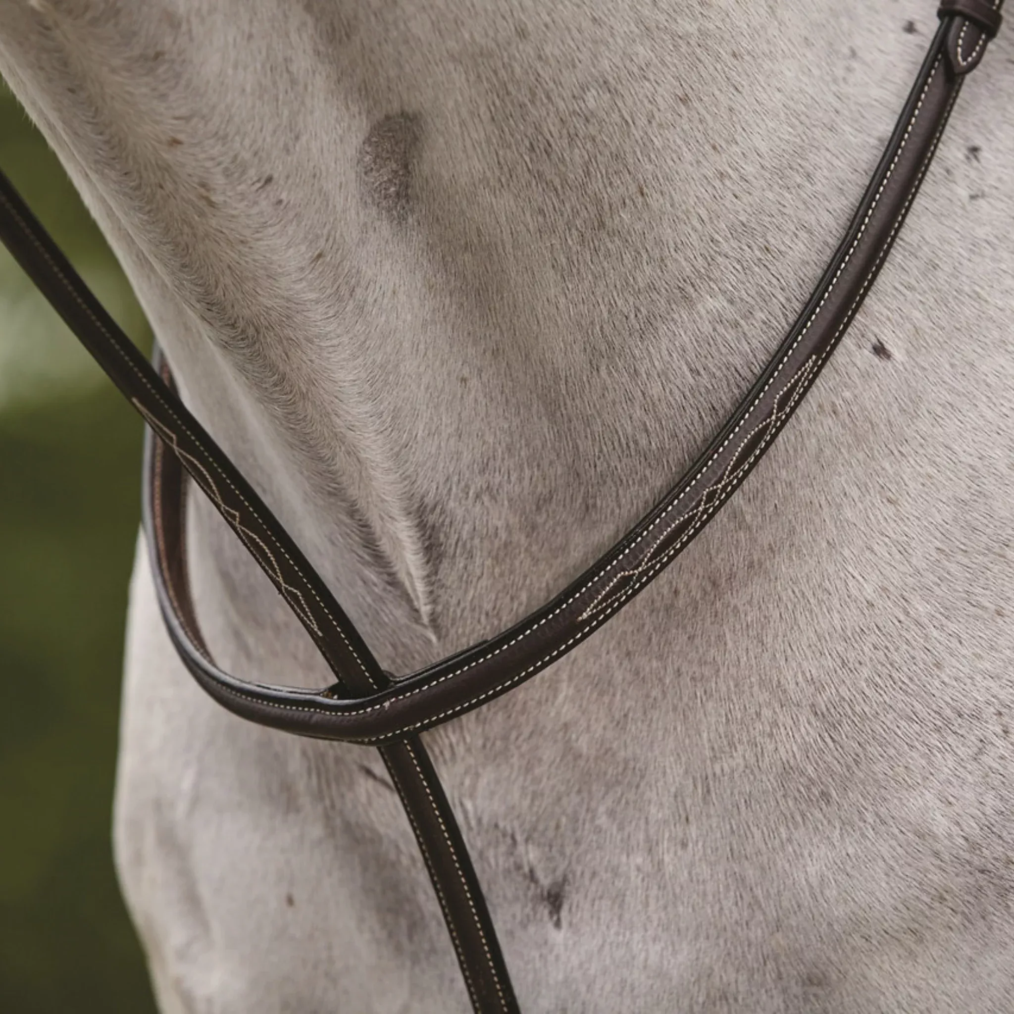 Camelot Raised Standing Martingale