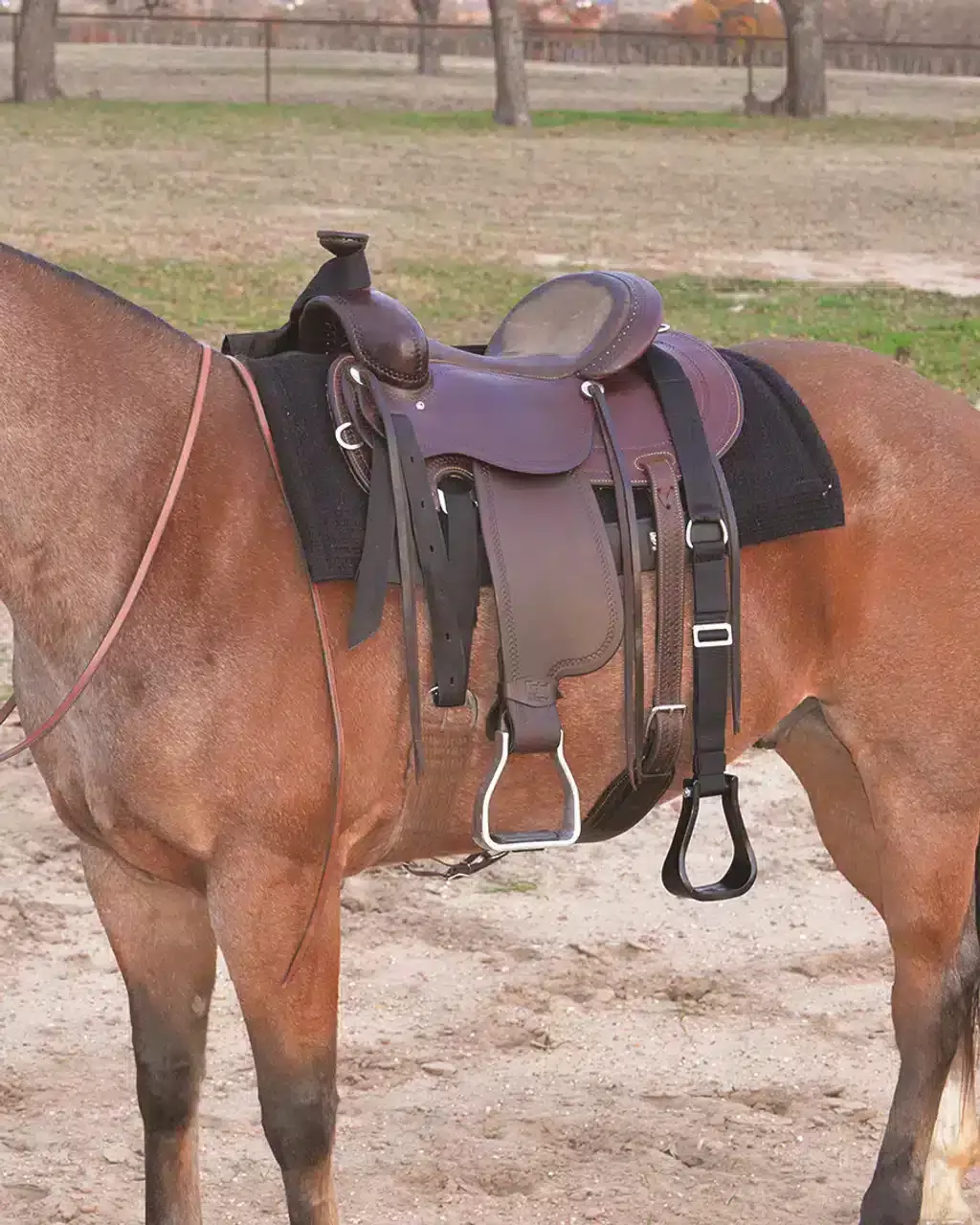 Cashel Company STEP UP STIRRUP