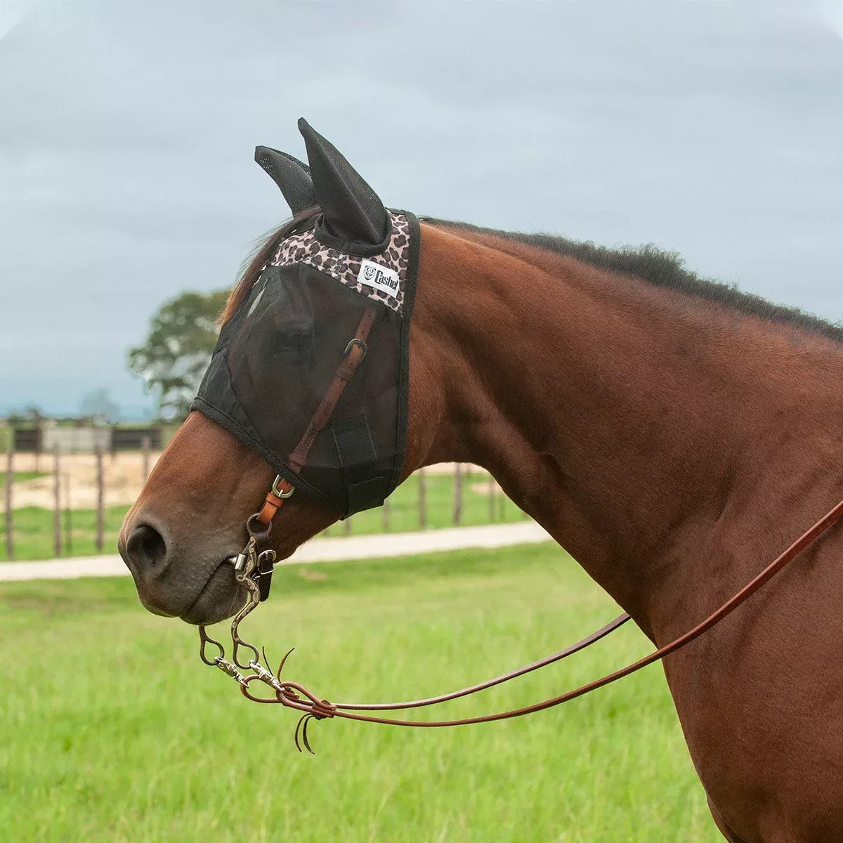 Cashel Quiet Ride Fly Mask with Ears for Horses, Lightweight Riding Protection