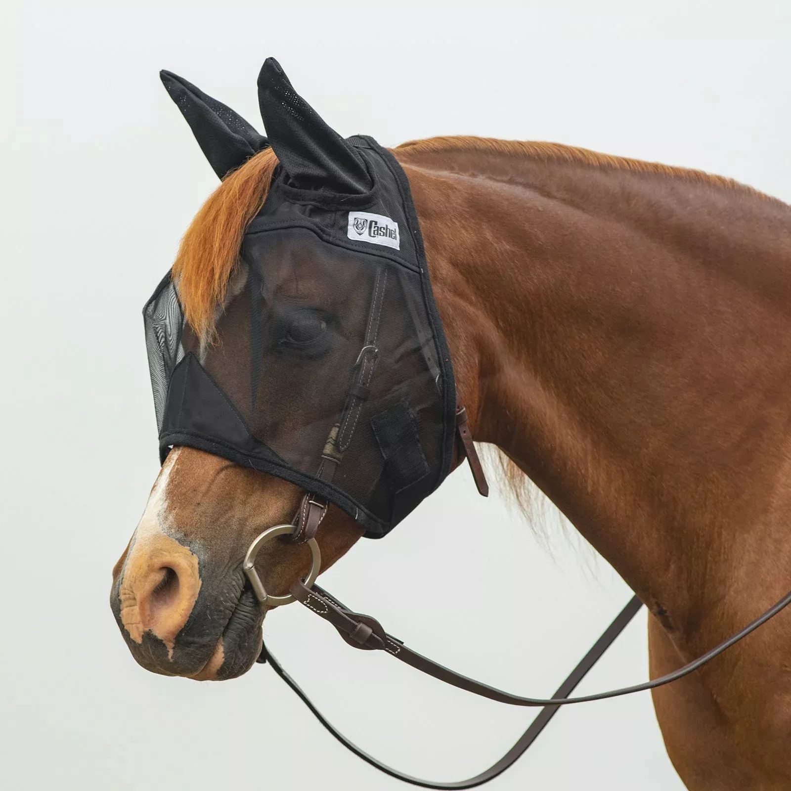 Cashel Quiet Ride w/ Ears