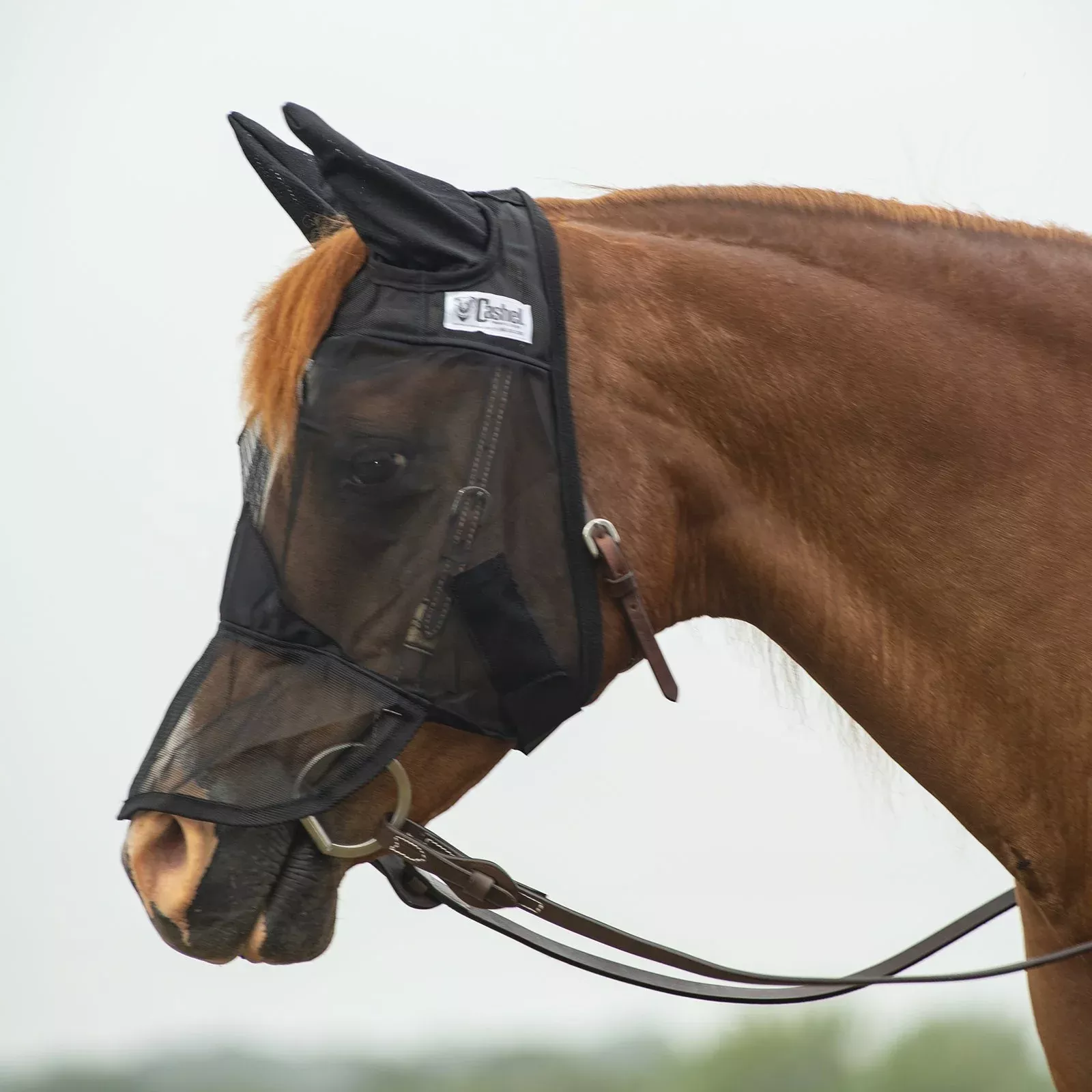 Cashel Quiet Ride w/ Long Nose & Ears