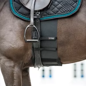 Catago Body Shield
