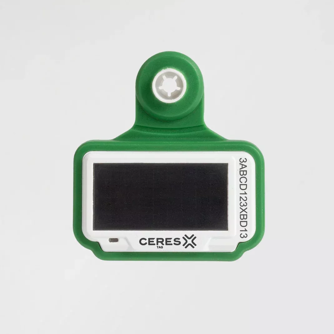 CERES RANCHER TAG GEN 5