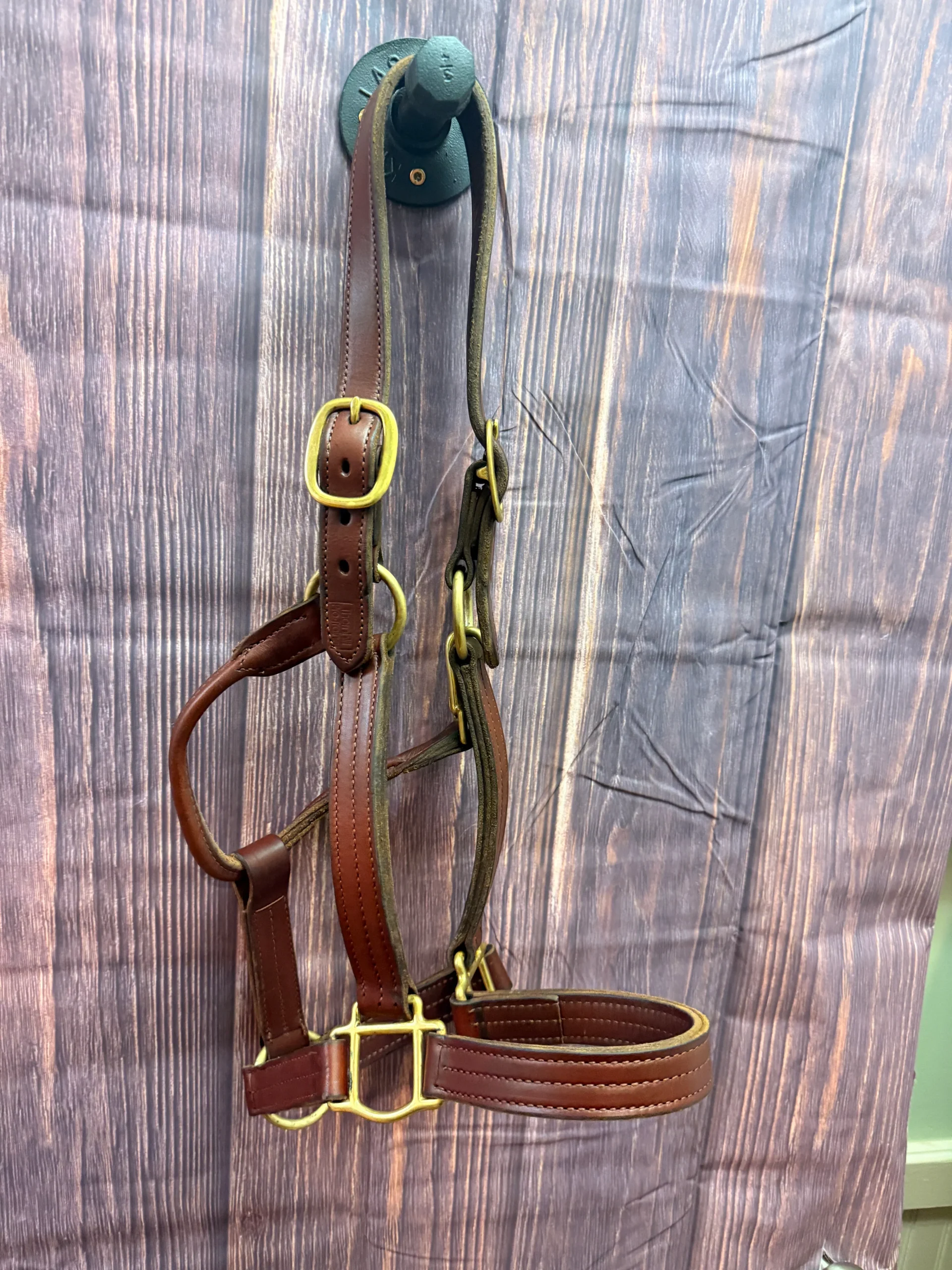 Chestnut Leather Halter Med Horse
