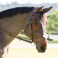 Chetak Padded Grackle Bridle