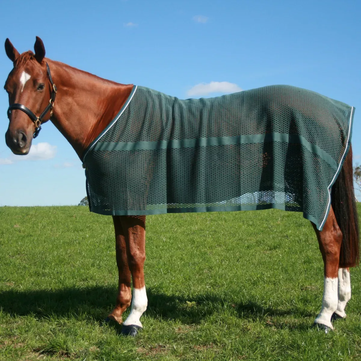 Chevalier Anti Sweat Rug -4ft3 & 3ft