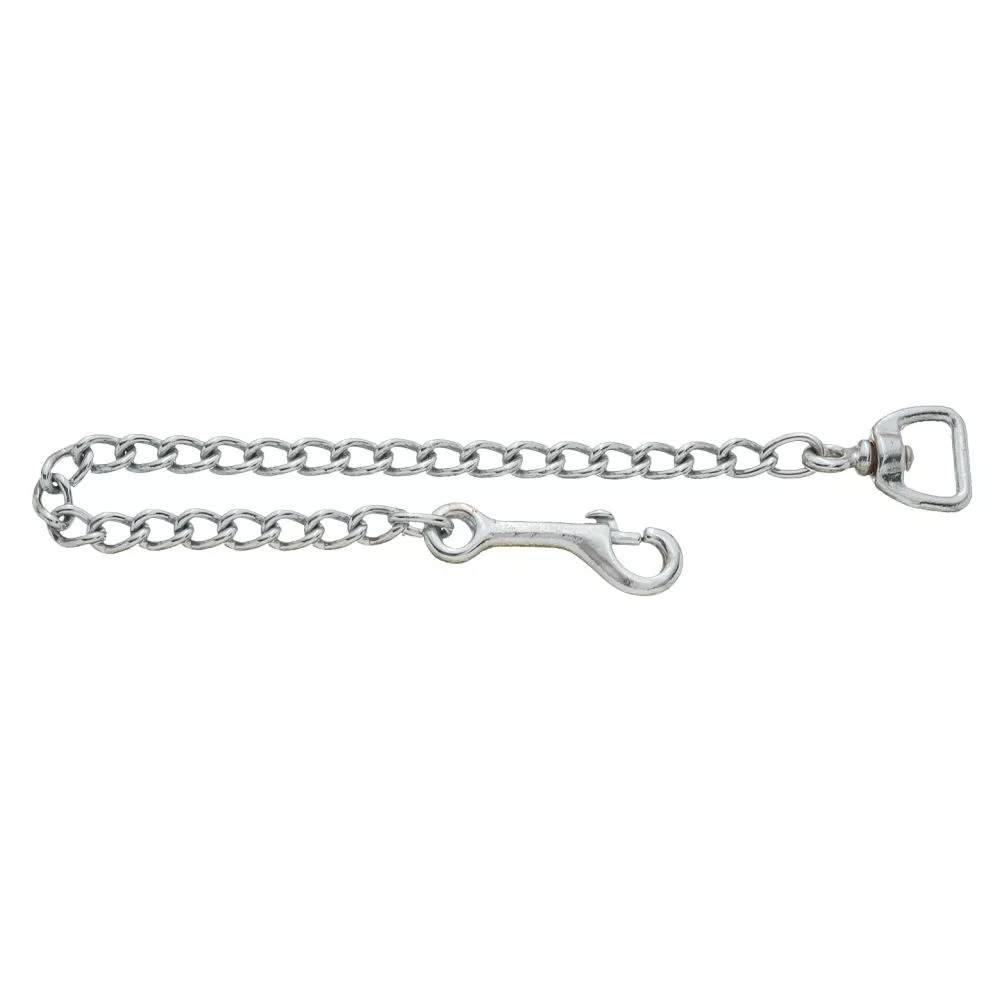 Chrome-Plated 20" Lead Chain