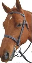 Classic Bridle