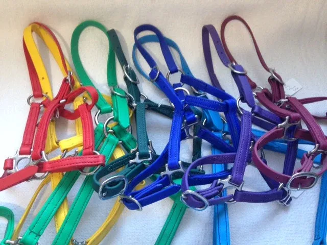 Cob Nose Buckle BioThane Halter - Colors