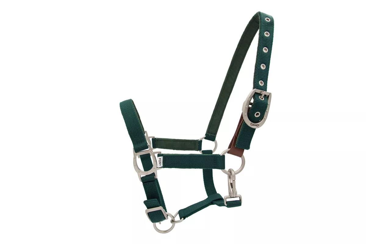 Color Collection by Ovation Lucky Adjustable Breakaway Halter - Hunter