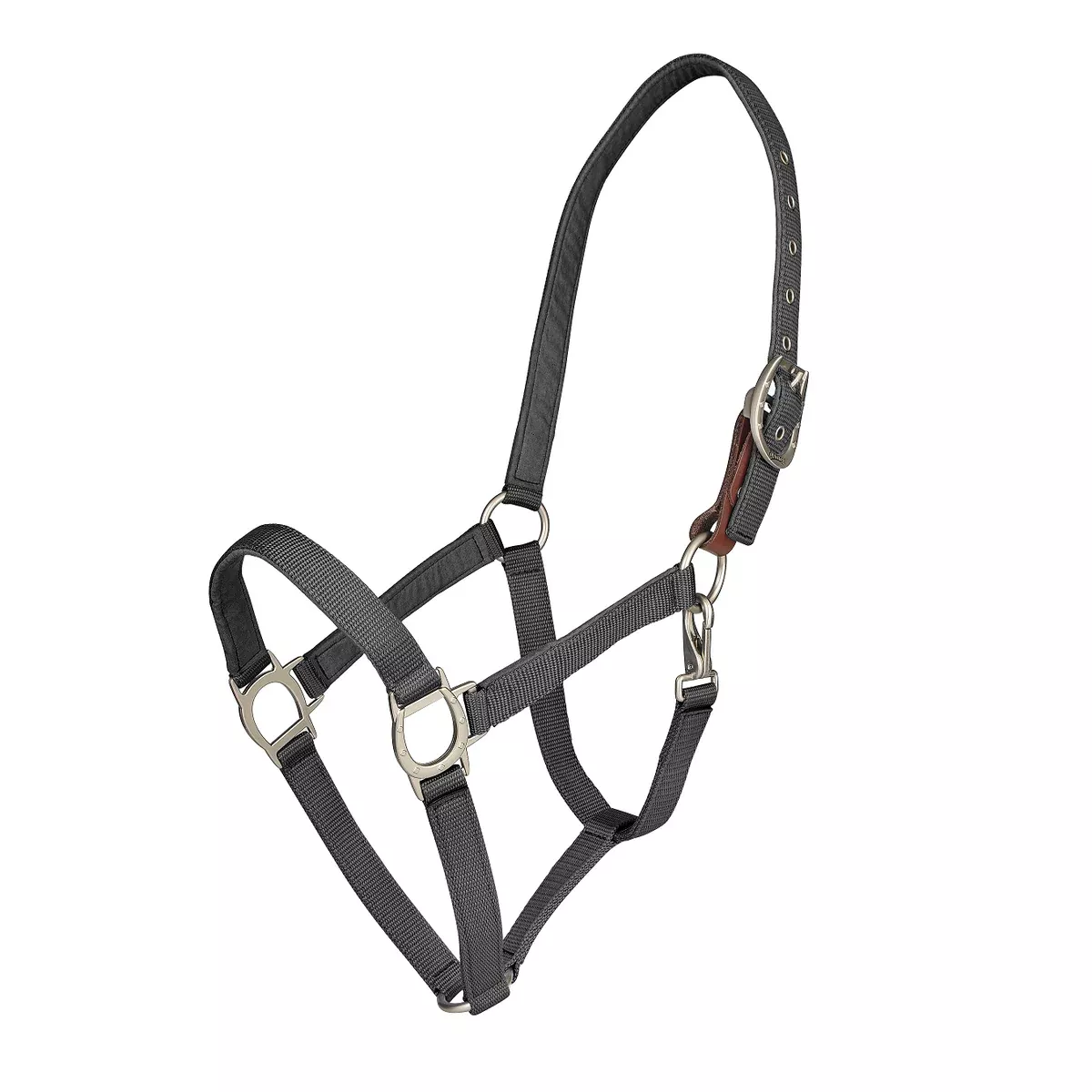 Color Collection by Ovation Lucky Breakaway Halter - Black
