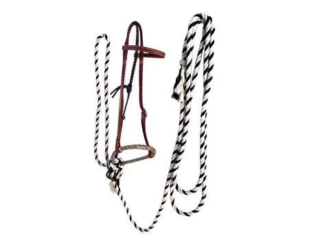Complete Hackamore Set – 8-Plait Cable Core Bosal, Cotton Mecate & Rawhide Headstall