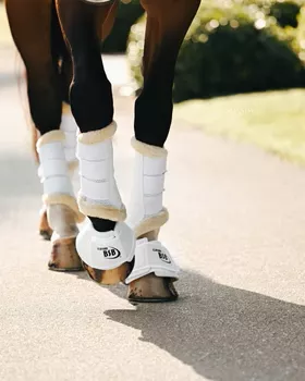 Cooler Dressage Sport