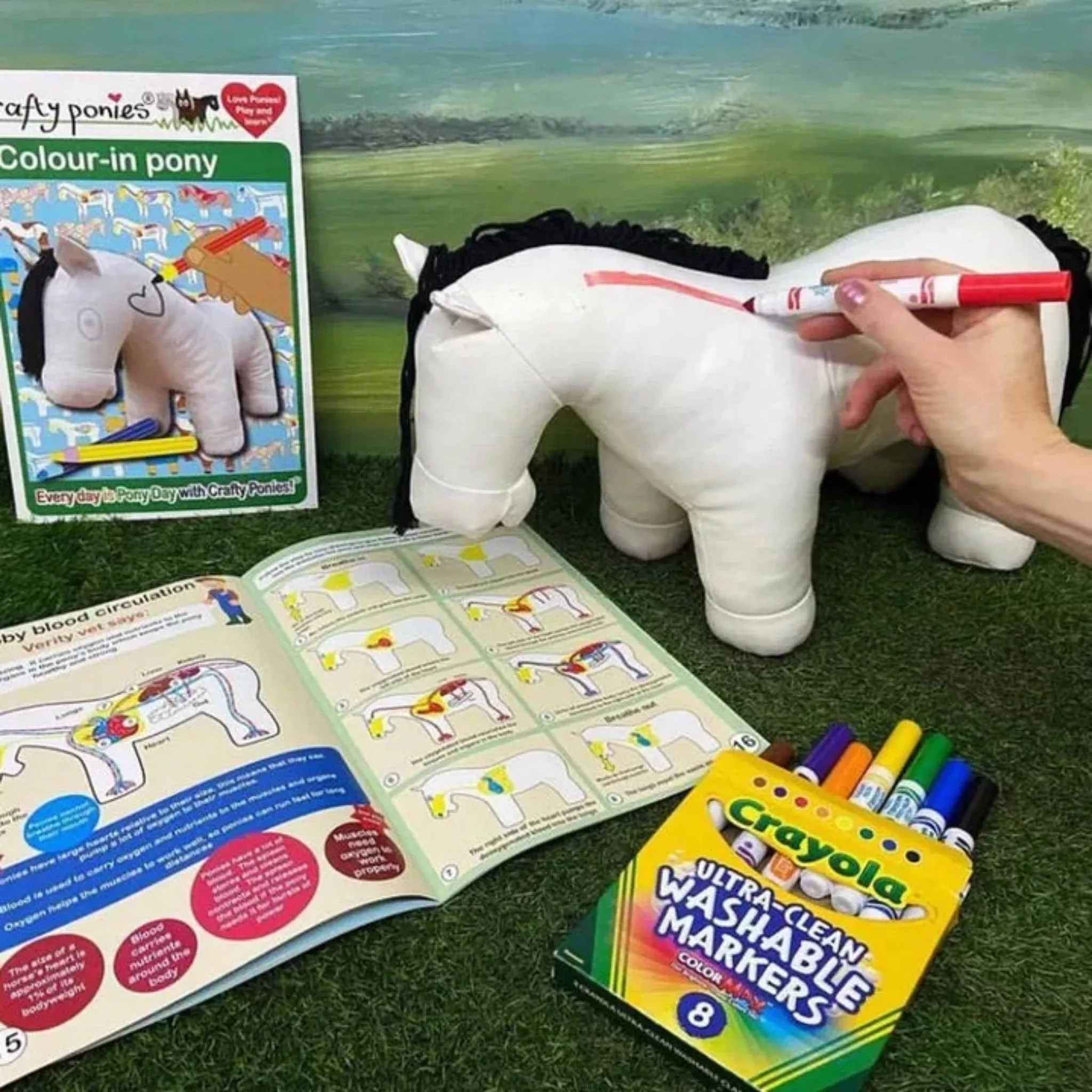 Crafty Pony Vinyl Pony with Booklet & Markers