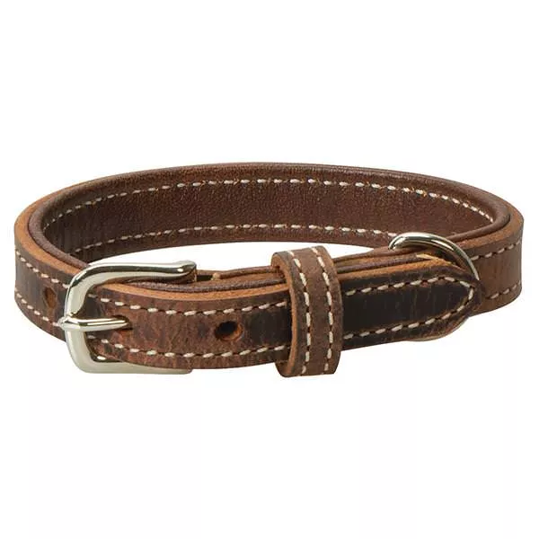 Crazy Horse Dog Collar