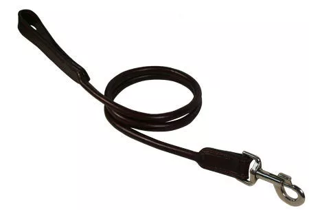 CuteNfuzzy Rolled Leather Dog Leash with Padded Handle