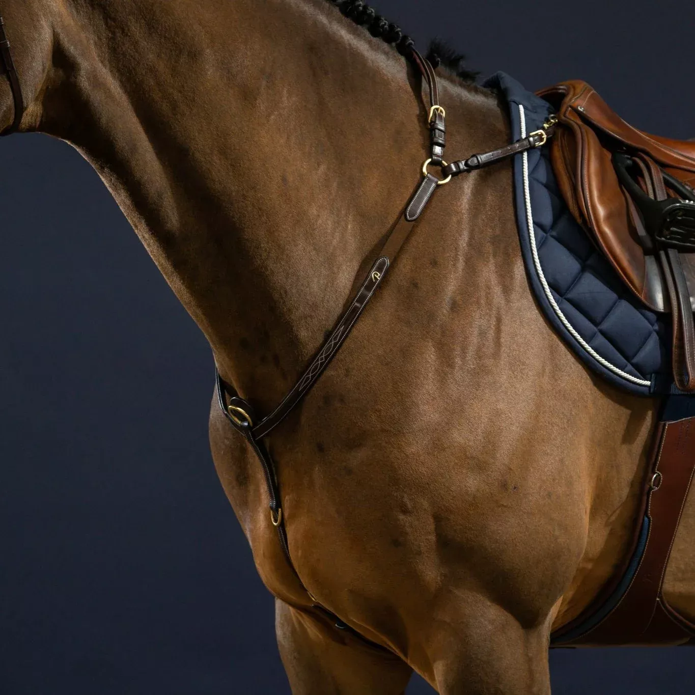 D Collection Breastplate with Bridge