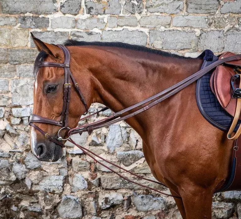 D'yon Rope Draw Reins