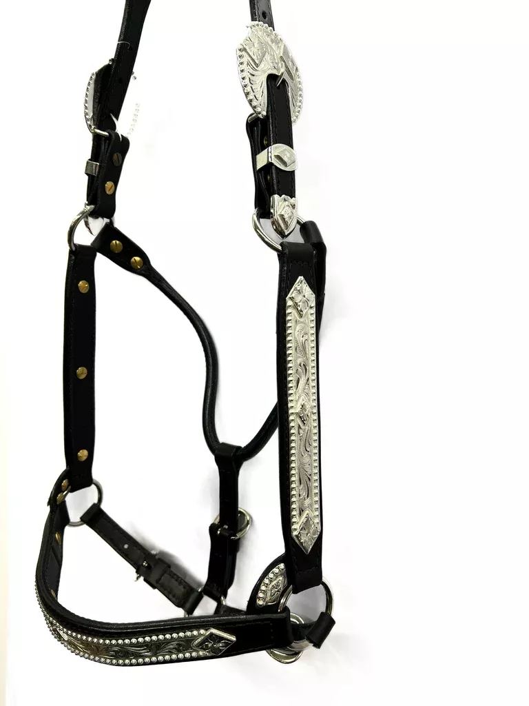 Dale Chavez Western Show Halter with #555 Silver