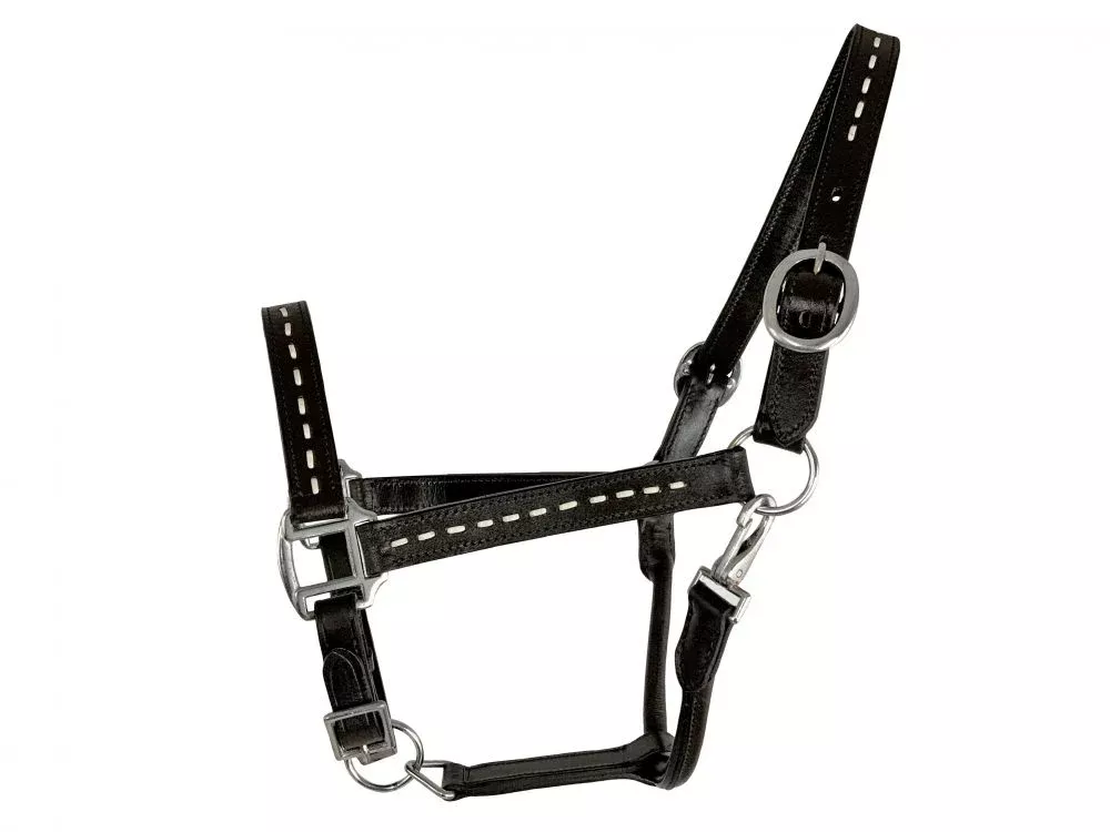 DARK OIL AVERAGE HORSE SIZE LEATHER HALTER WITH WHITE BUCKSTITCHING ACCENTS