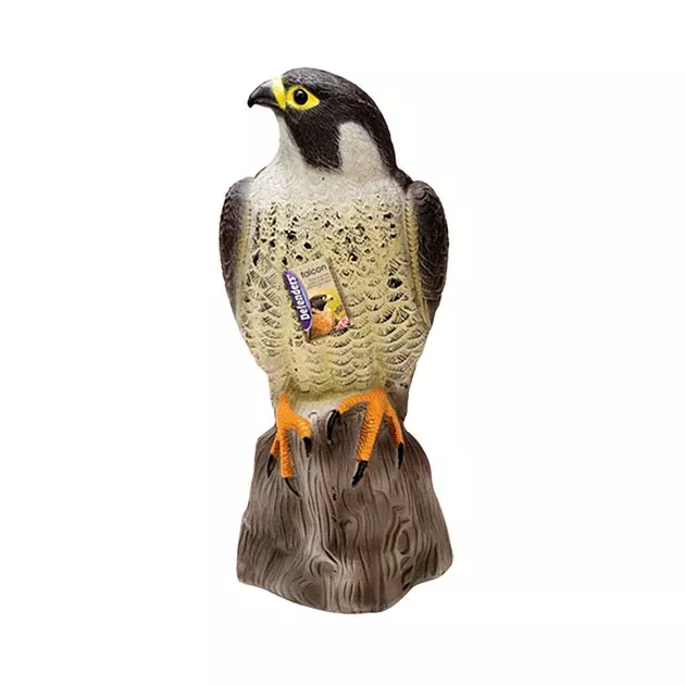 Defenders Falcon