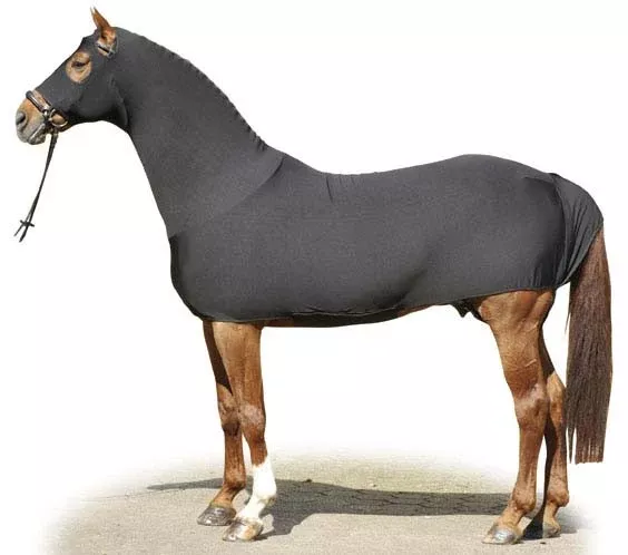 Dirt, Abrasion & Fly Protection Suit