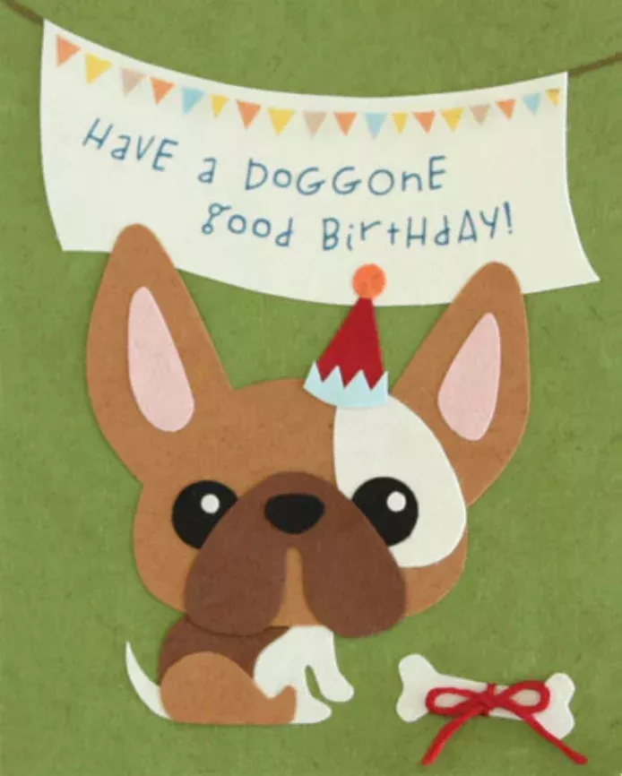 Doggone Birthday