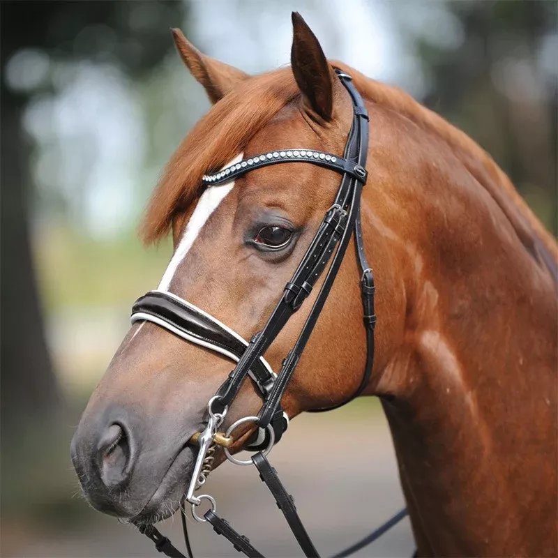 Double Bridle Antonia
