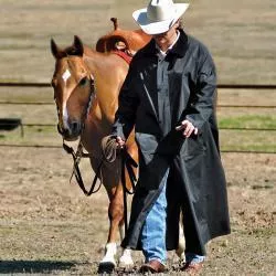 Double S Saddle Slicker 12130