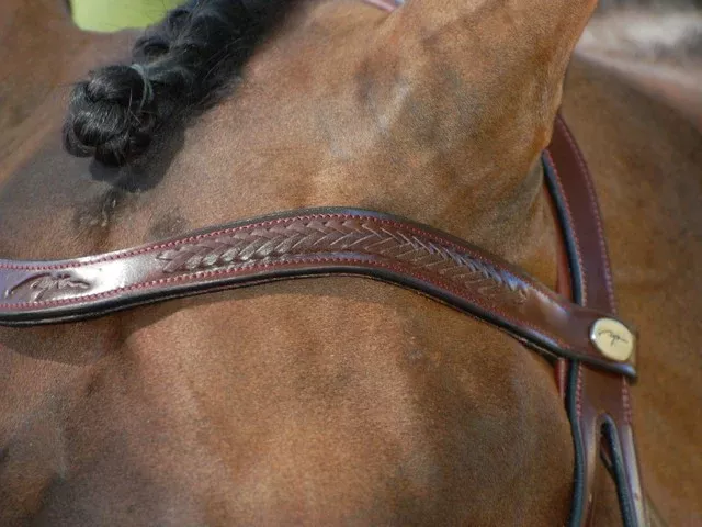 Dressage Browband "V Laced"