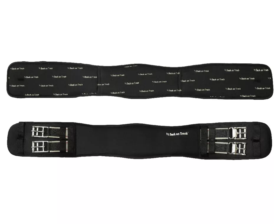 Dressage Elastic Girth