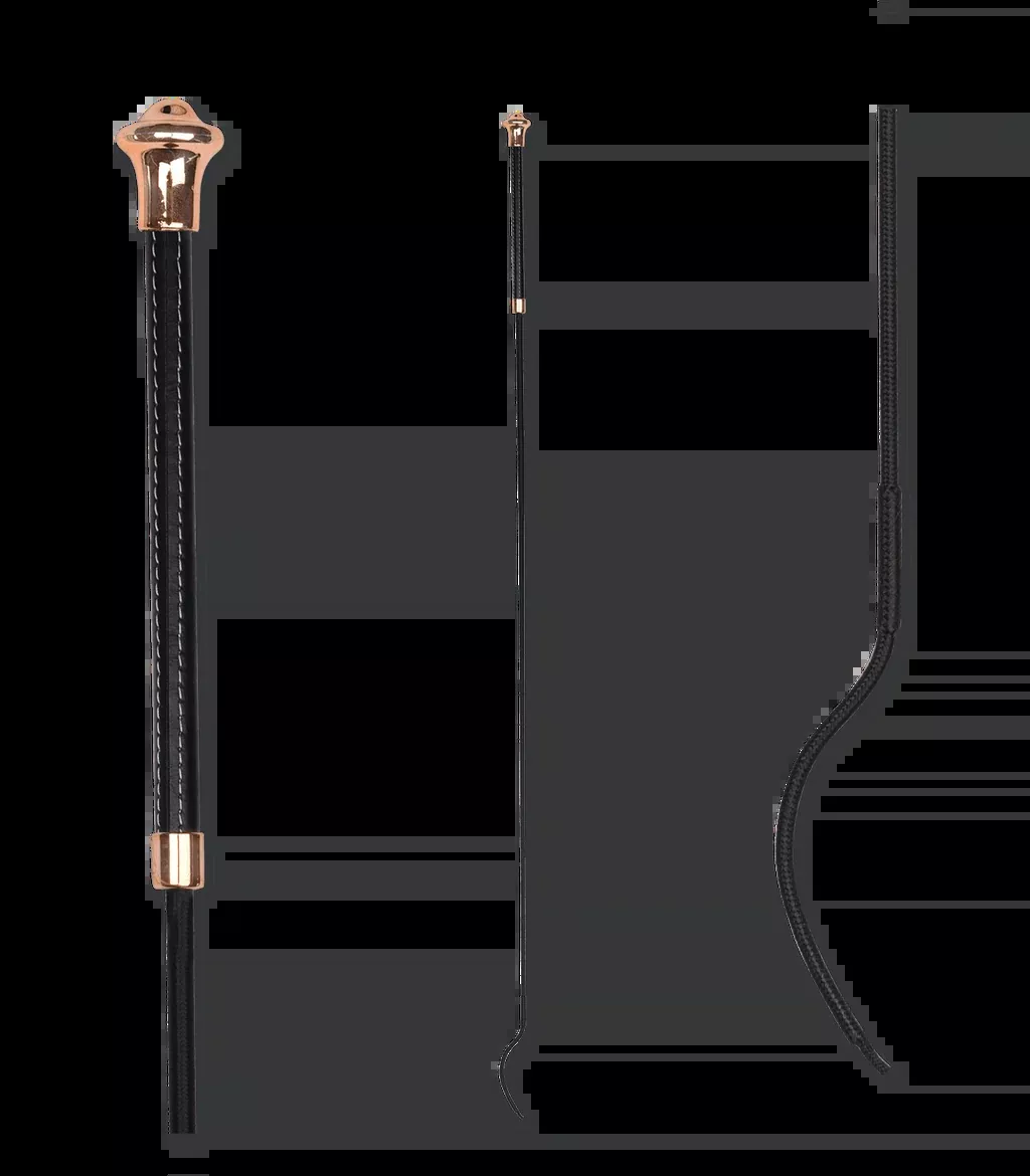Dressage Whip Noblesse