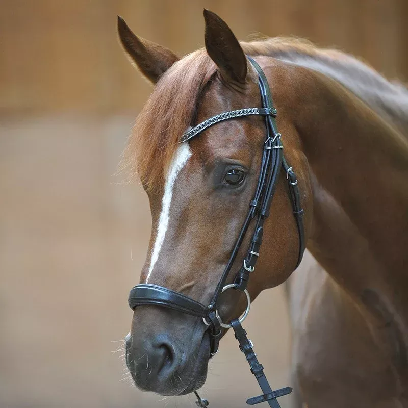 Drop Noseband Bridle Isabella