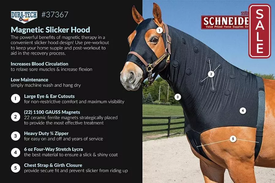 Dura-Tech Magnetic Horse Sleazy Medium