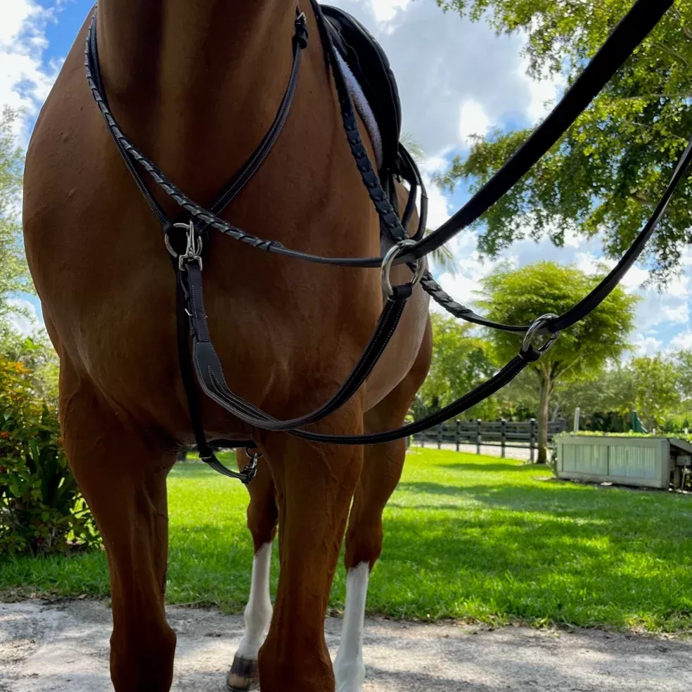 DziaSport Running Martingale Attachment